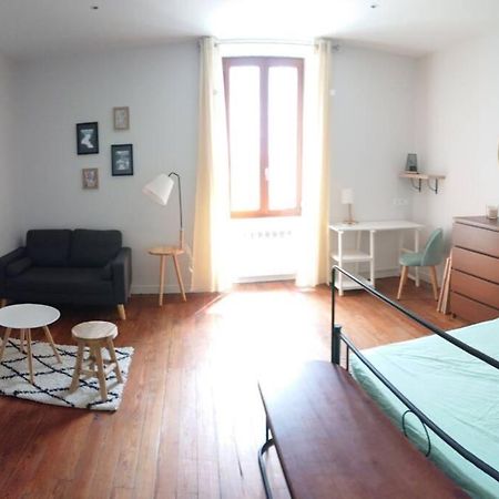 Le Beausejour - Cosy T2 - Business Ou We - Gare Bellegarde-sur-Valserine Exterior foto